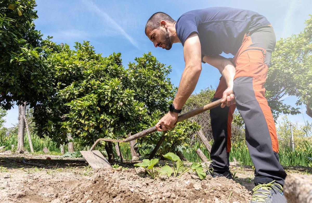 Un agricultor en una explotación de frutales.