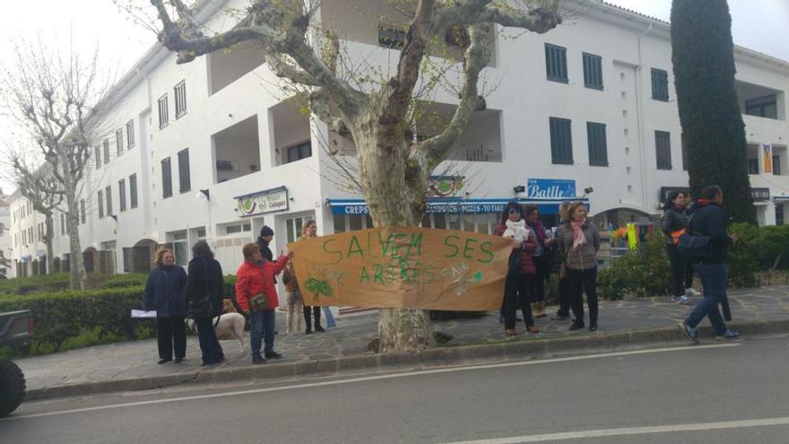 Cinquanta persones intenten aturar la tala d&#039;abres a Cadaqués