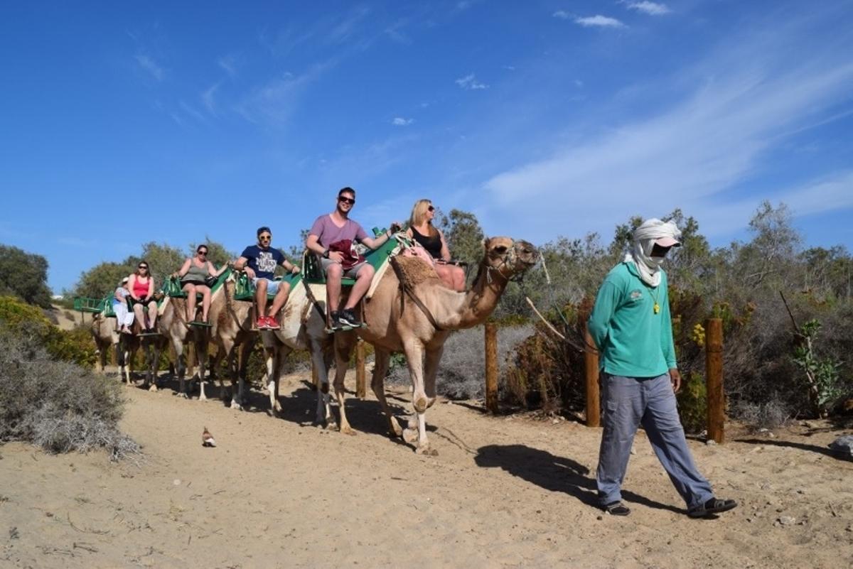 Montar en camello en las Dunas de Maspalomas