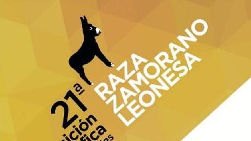 Consulta programa y premios de la XXI Exposición Monográfica de la raza zamorano-leonesa en San Vitero