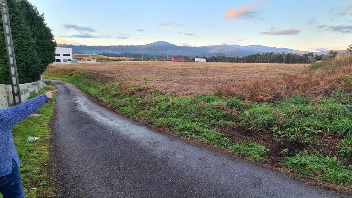 Una de las parcelas compradas por Conservas Cerqueira en Rianxo.