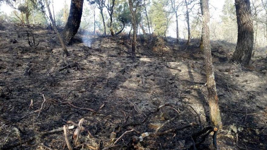 Incendio en Sejas de Aliste