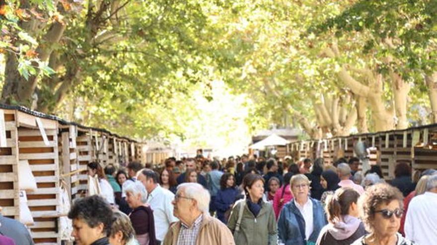 La gastronomia saludable serà el pal de paller d'una nova edició de l’Ecoviure al centre de Manresa