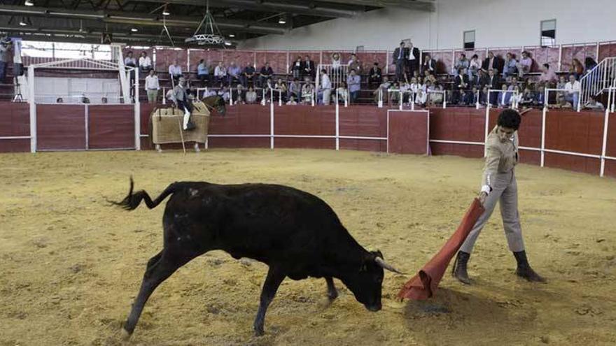 El mundo del toro factura 800 millones anuales en Extremadura