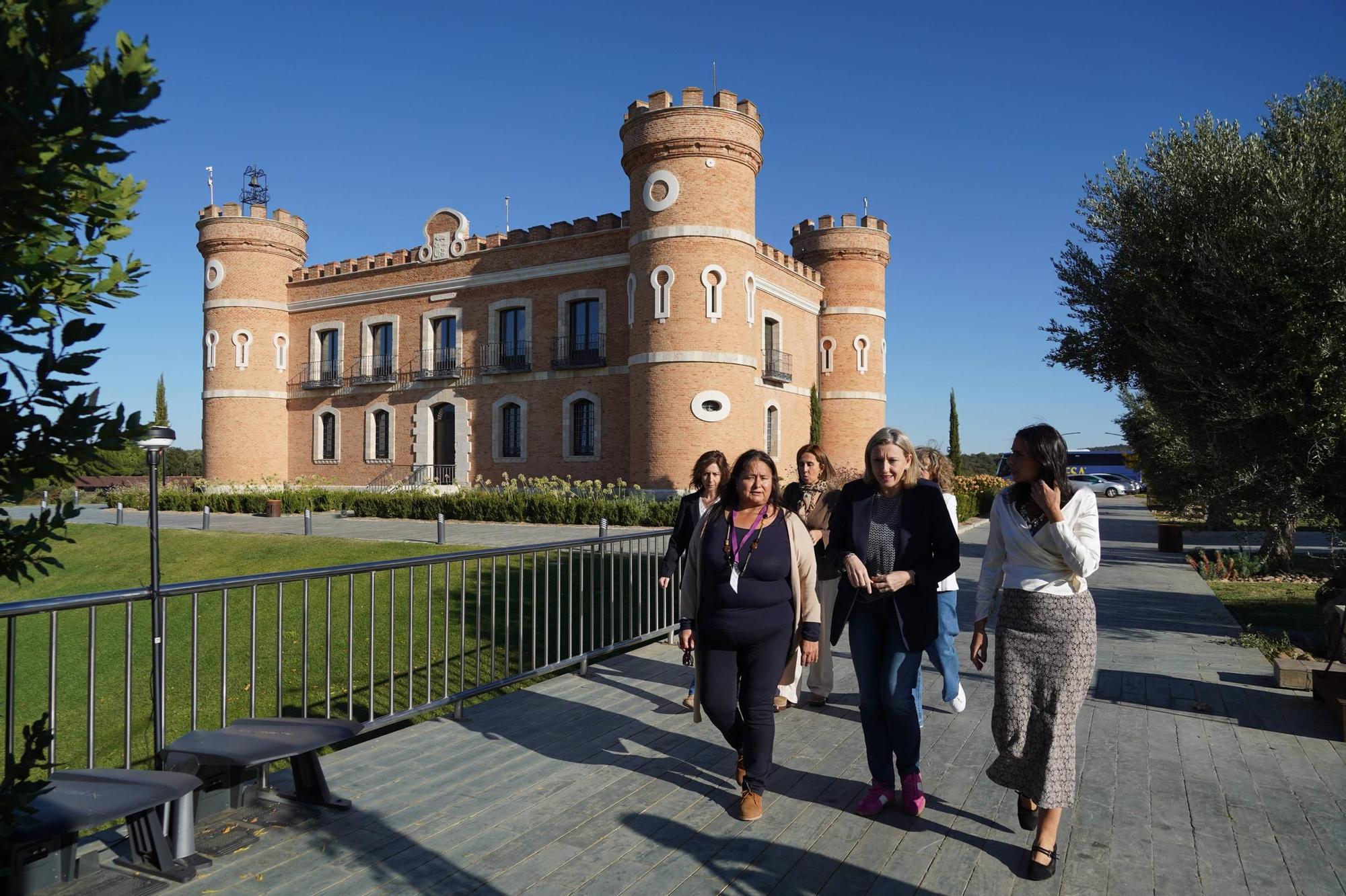 Las mujeres rurales de Castilla y León celebran por adelantado su día entre viñedos