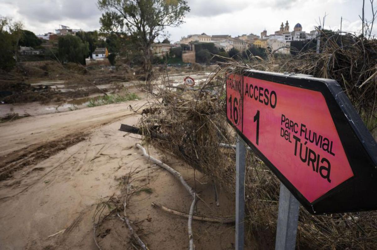 Estado del parque fluvial del Túria a la altura de Rina-roja de Túria, donde arrancó las pasarelas sobre el río con un poder de devastación que necesitará de una profunda restauración tanto de la vegetación como autóctona como para la erradicación de exóticas invasoras como la caña americana.
