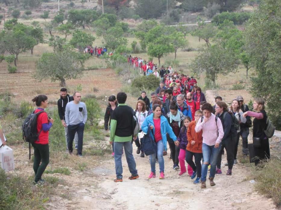 200 personas descubren los secretos del poljé del Pla de Corona en el Geolodía