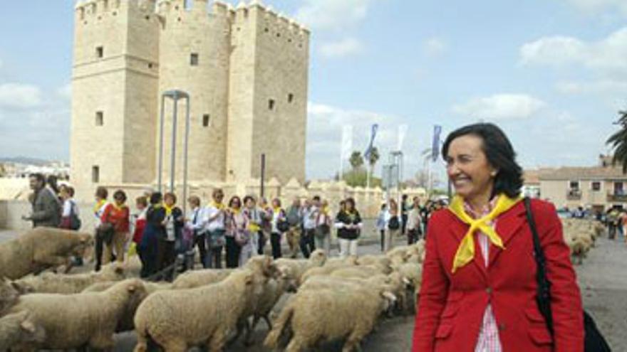 Unas 600 ovejas trashumantes &#039;toman&#039; la ciudad de Córdoba