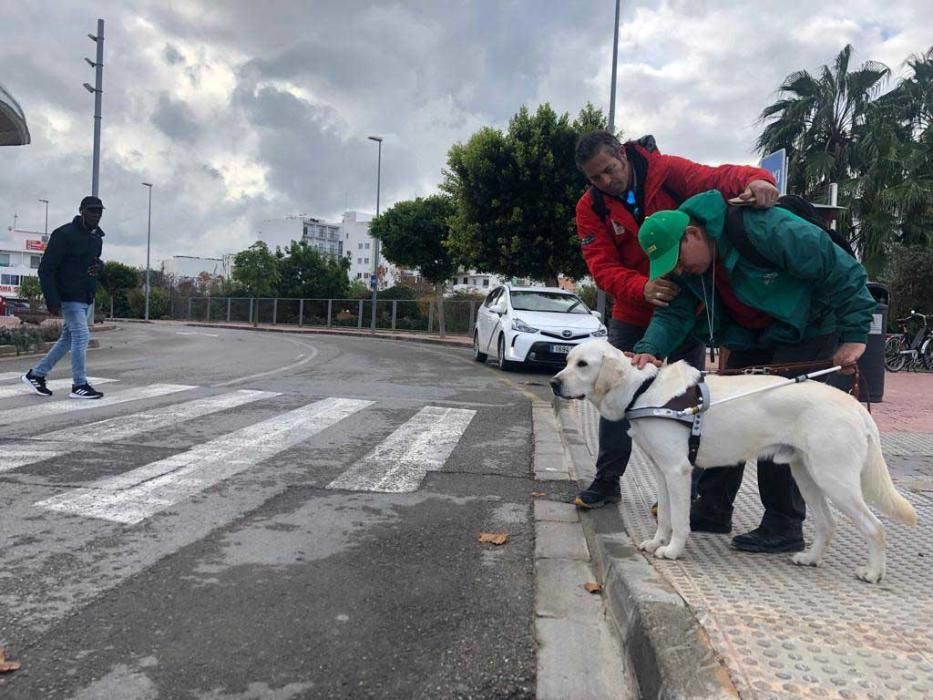 Olay, los ojos y los oídos de Paco González