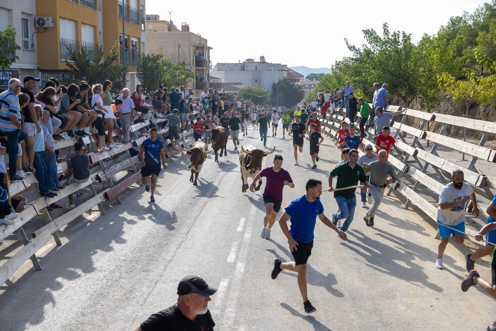 Cuarto encierro de la Feria Taurina del Arroz en Calasparra