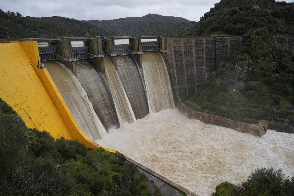 El estado de las presas de Zamora tras la crecida de los río por el temporal.