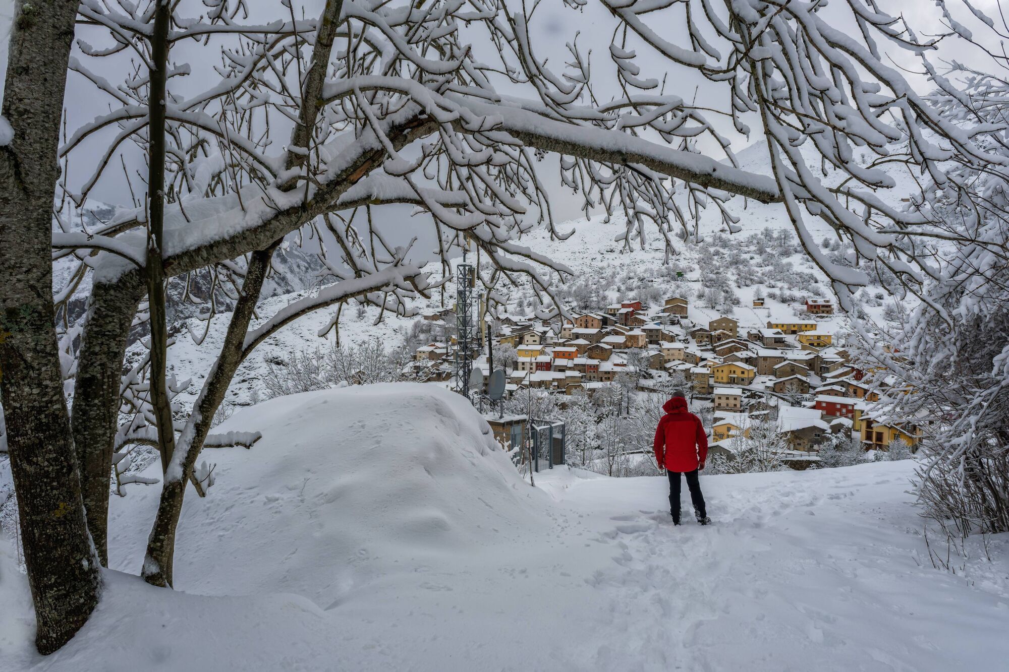 Nevada en Sotres