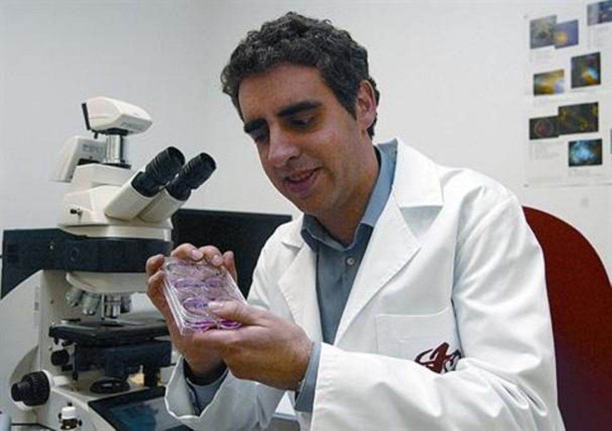 L’investigador Manuel Esteller, a l’Idibell, amb un cultiu de cèl·lules immortals HeLa. L’investigador Manuel Esteller, a l’Idibell, amb un cultiu de cèl·lules immortals HeLa.