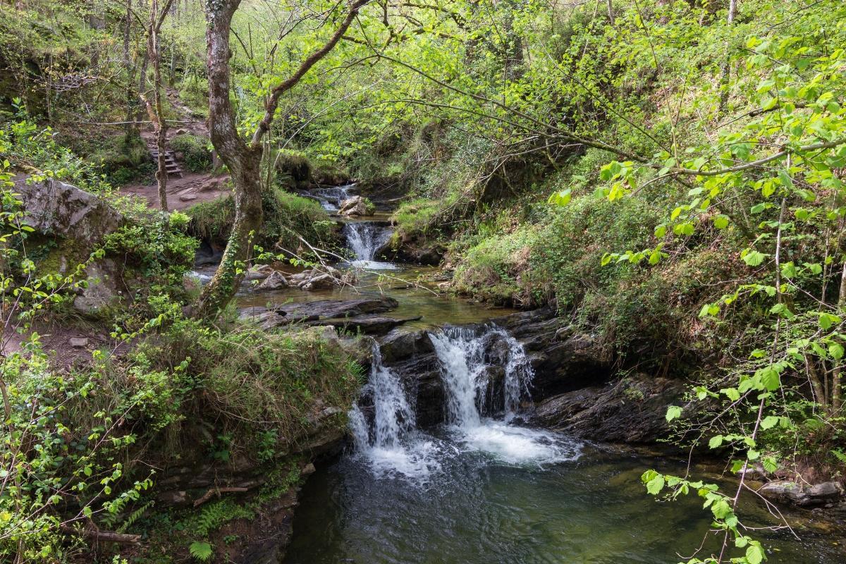 La senda fluvial del Nansa es perfecta para estar en contacto con la naturaleza.