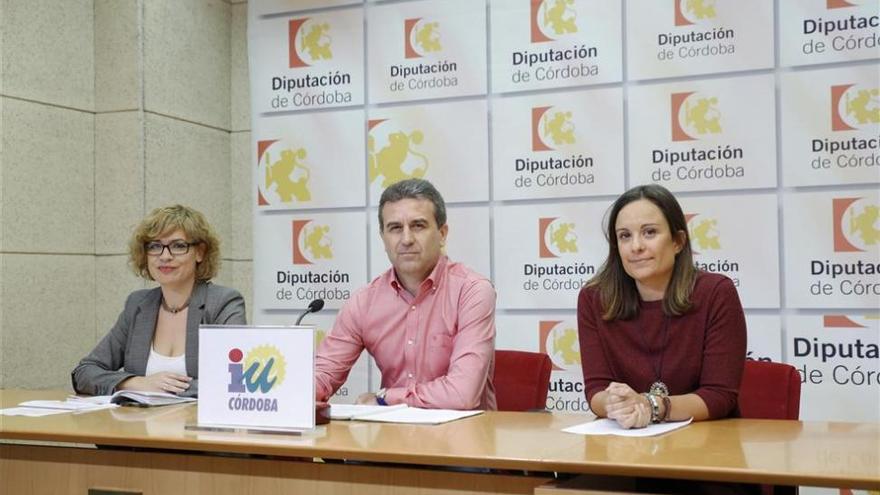 IU dice que es el &quot;único grupo que podía aportar estabilidad&quot; al gobierno