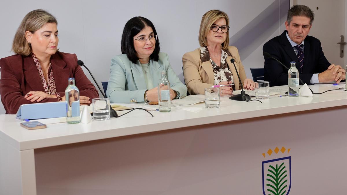 Radio Televisión Canaria y Radio Televisión Española retransmitirán en directo el Carnaval de «Los Juegos Olímpicos»