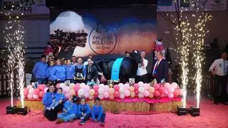 Miajones Stoneden Ferne se proclama Vaca Gran Campeona de Los Pedroches