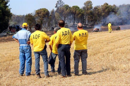 Incendi forestal a Sant Feliu Sasserra