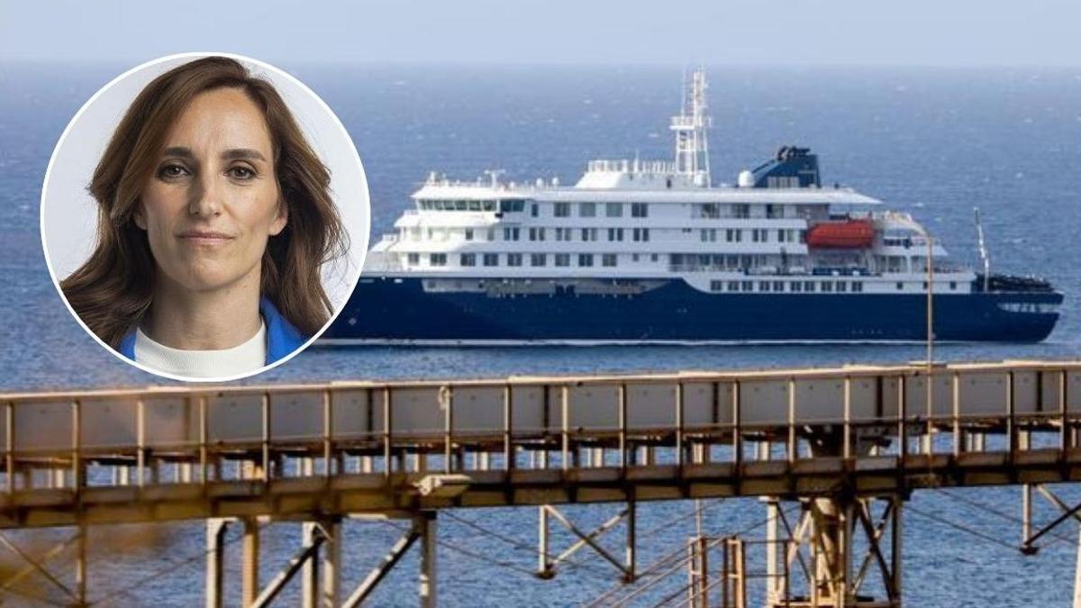 ¿Qué es el hantavirus? Así es la cepa Andes que ha causado la muerte a tres personas en un crucero por el Atlántico