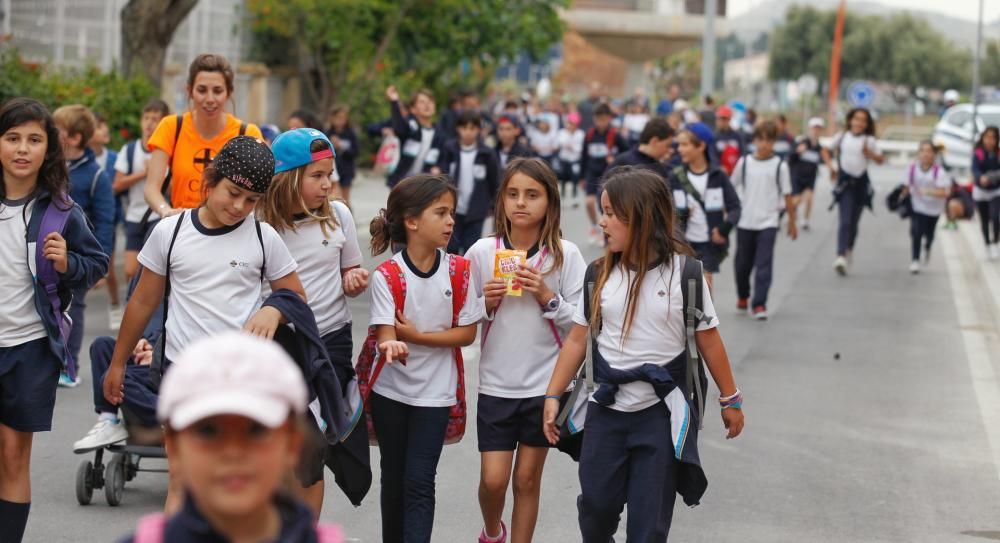 400 escolares rinden homenaje a la Santa Faz