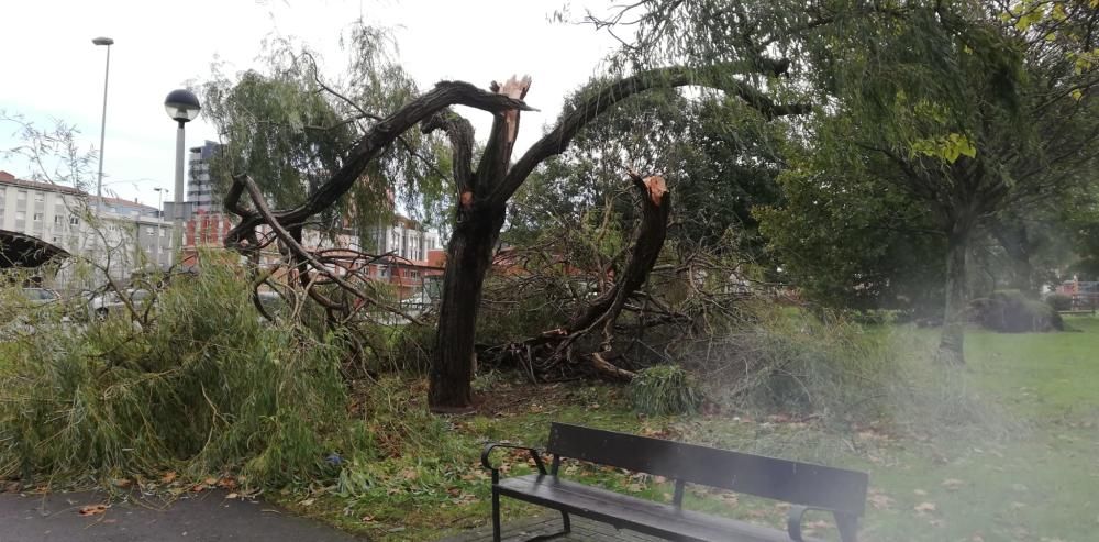 Daños por el temporal en Gijón.