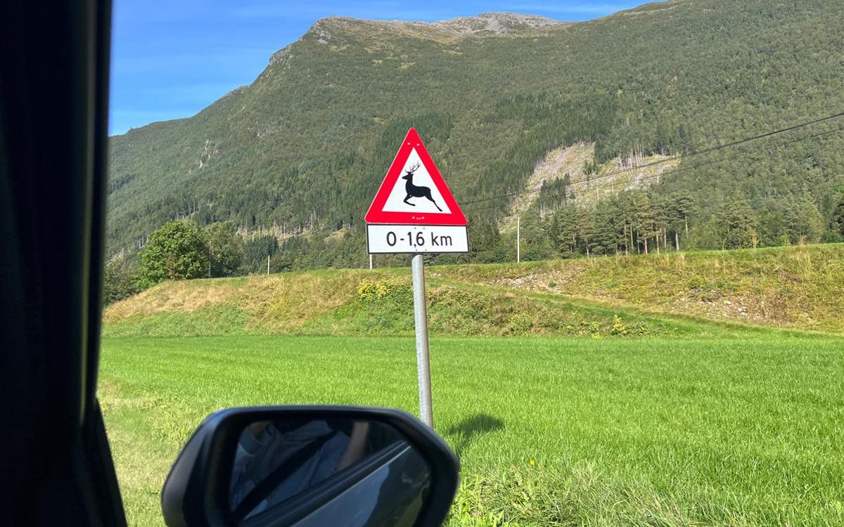 Carreteras noruegas