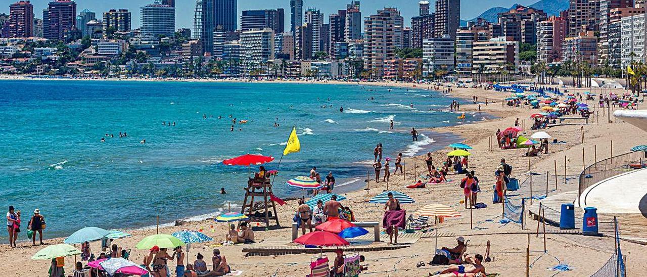 La playa de Benidorm, ayer, con los bañistas divididos en parcelas. DAVID REVENGA