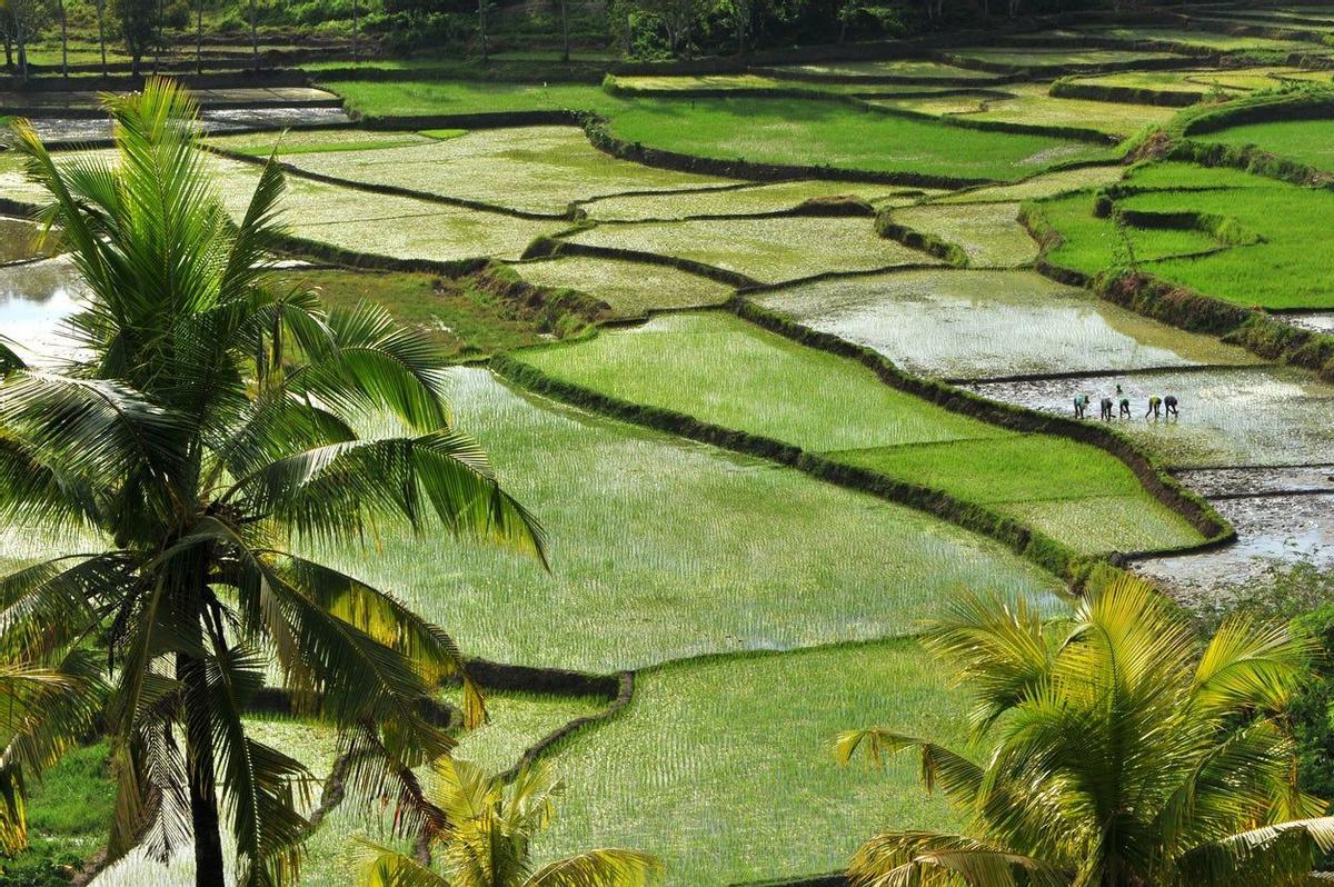 Sumba, Indonesia