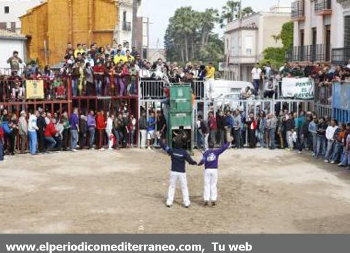 GALERÍA DE FOTOS - Almassora continua con su semana taurina