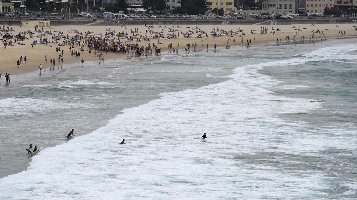 Nadadores son evacuados del agua en la playa Bondi en Sídney (Australia) después de que un helicóptero de la policía avistase un tiburón cerca de la orilla.