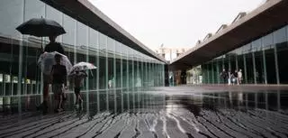 Claudia fue una bendición con mucha agua para el campo y ningún daño grave