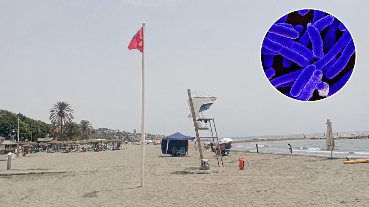 Bandera roja en las playas de El Palo y Pedregalejo tras la presencia de E.coli