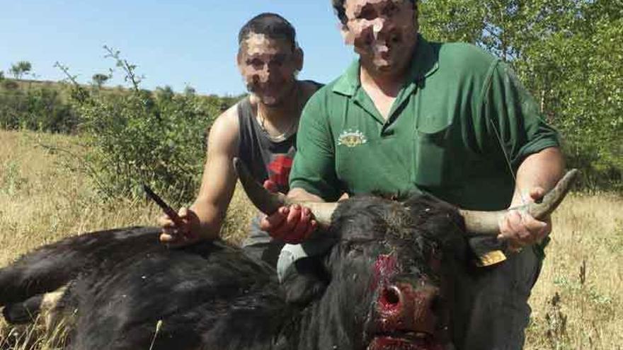 Dos buscadores posando con un novillo abatido.