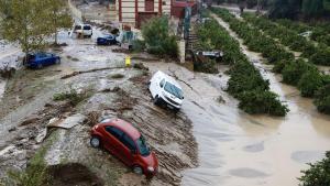 Coches destrozados tras el paso del la Dana, en Málaga.