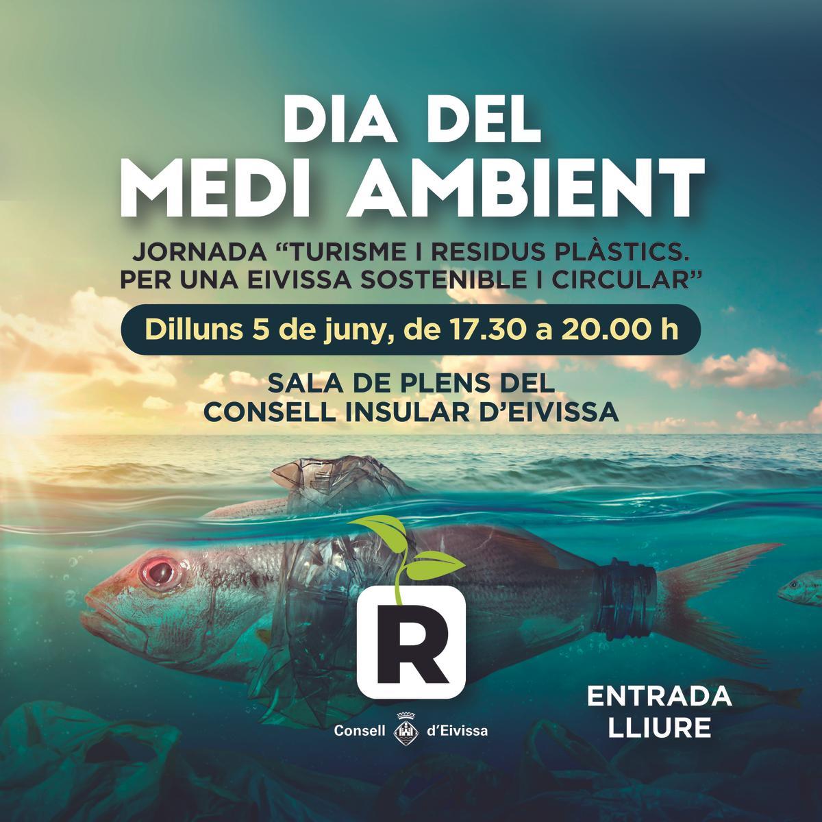 Dia Medi Ambient