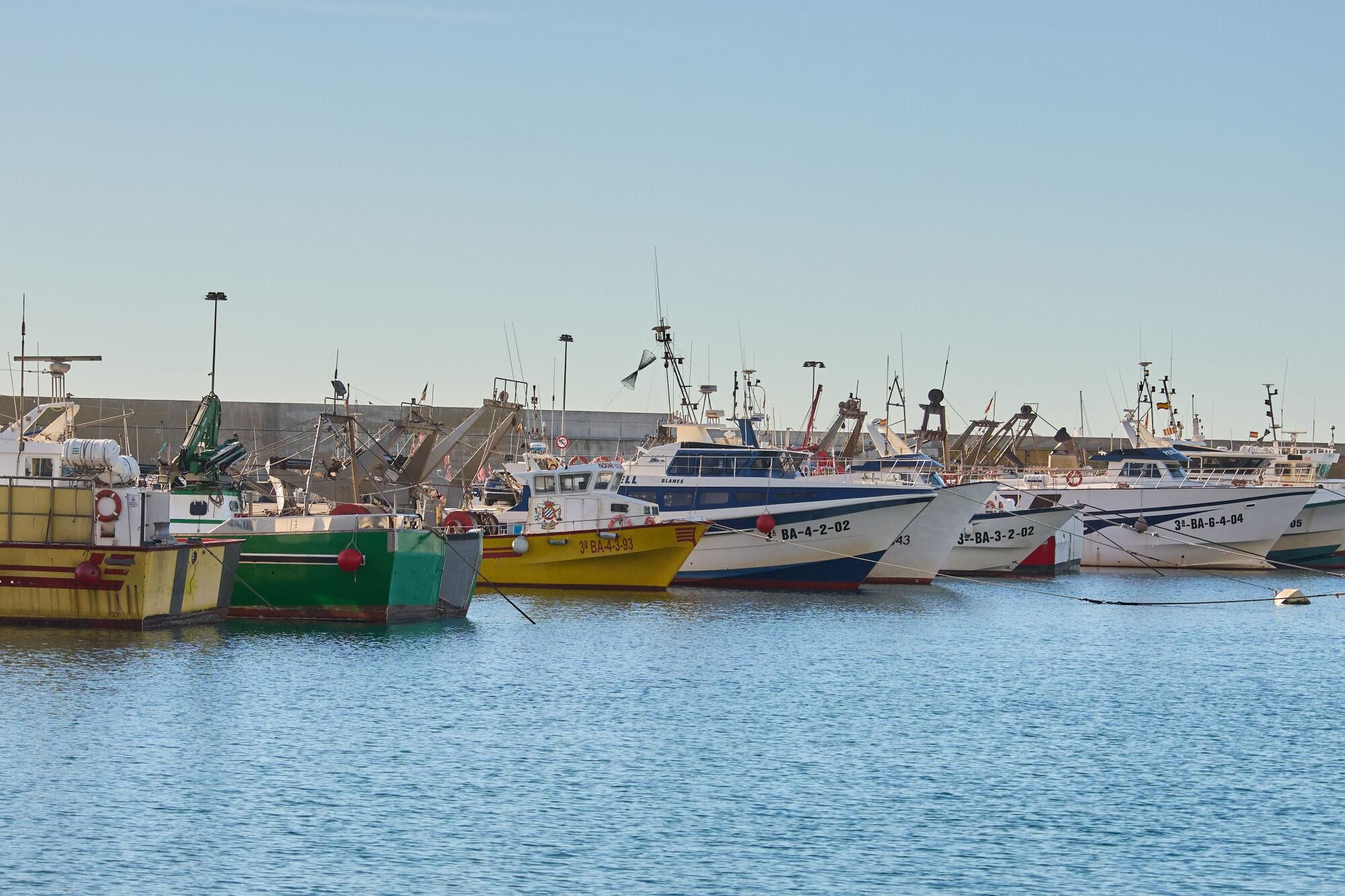 L'aturada de pescadors de Blanes, en imatges