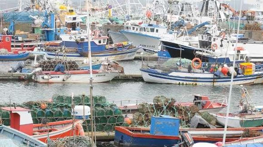 Flota amarrada en el muelle de Oza. / víctor echave