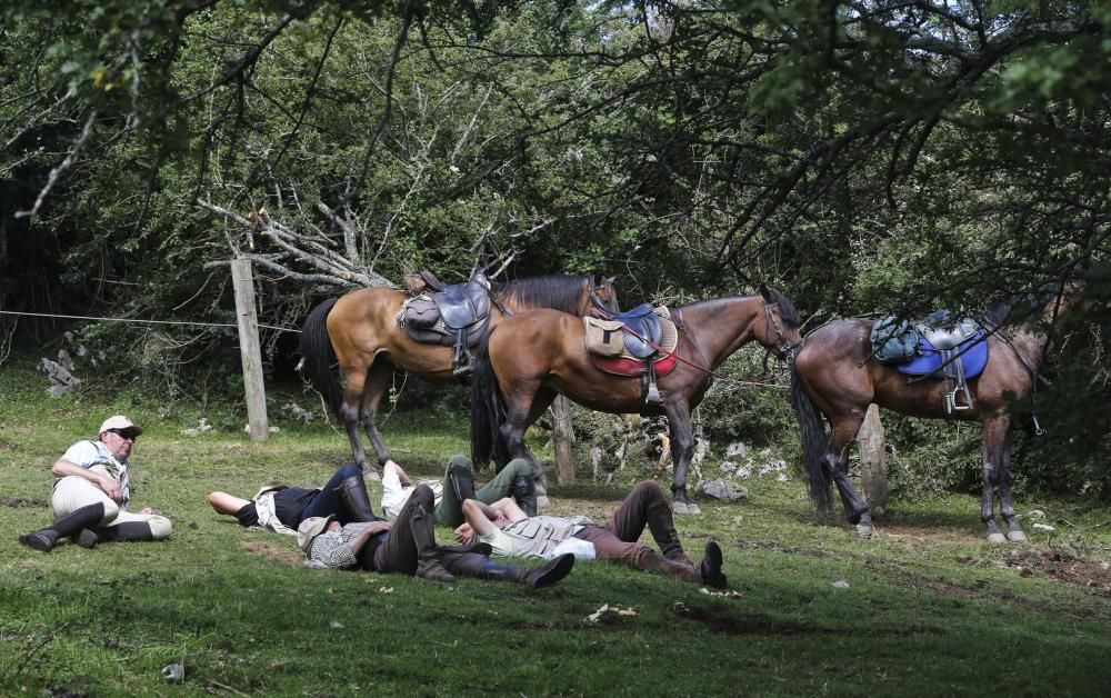 Fiesta del Asturcón en El Sueve