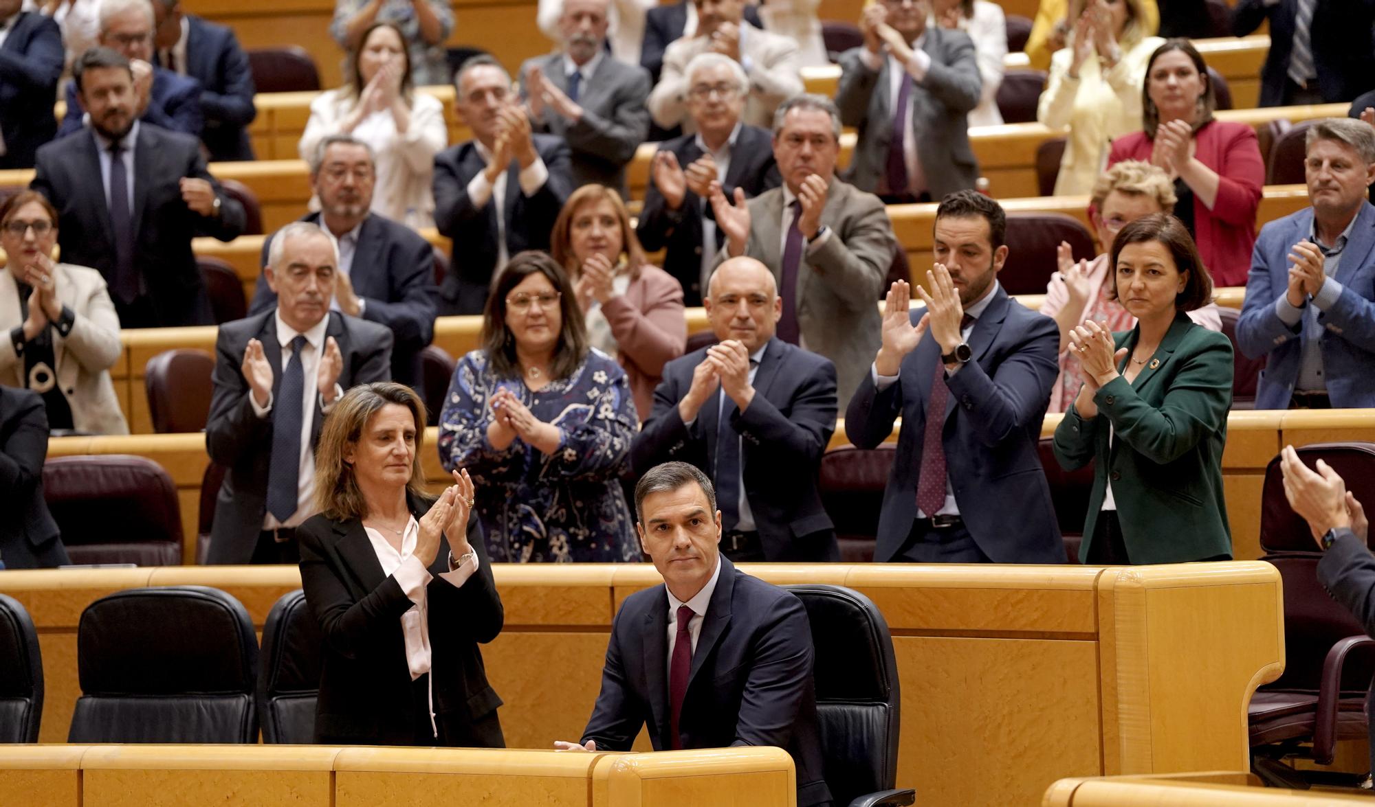 El cara a cara entre Sánchez y Feijóo en el Senado, en imágenes