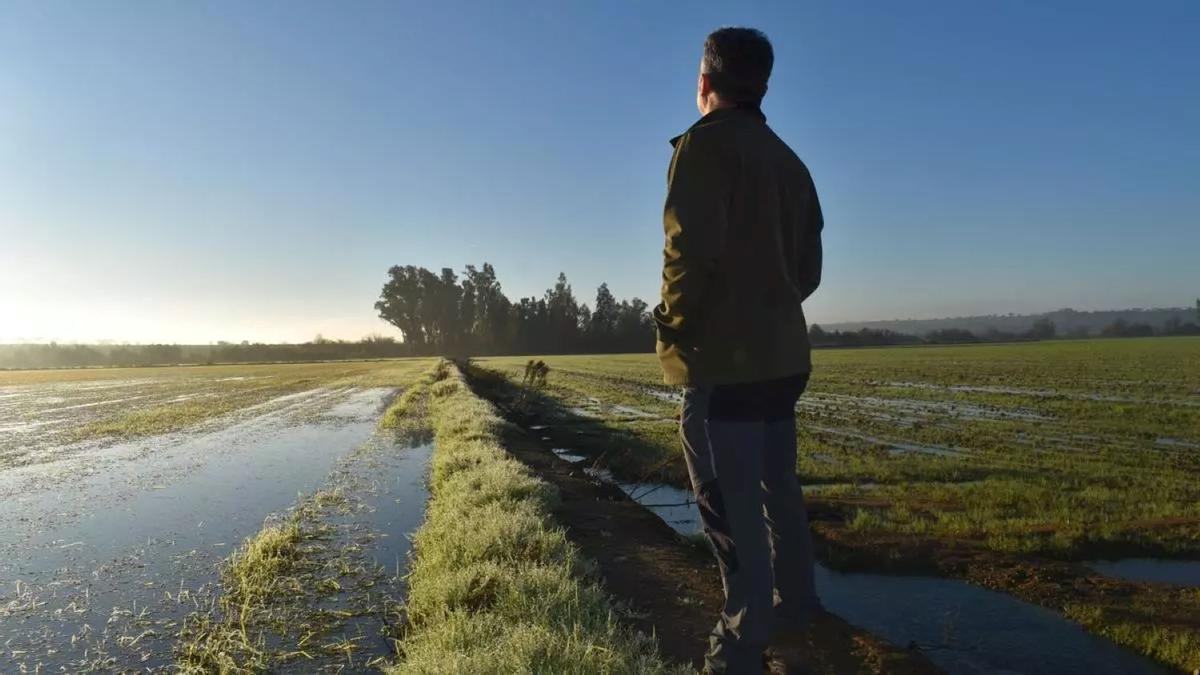 Un agricultor extremeño.