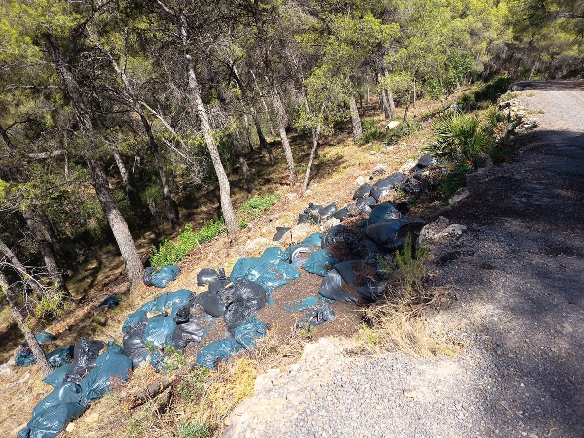 Bolsas tiradas en el paraje.