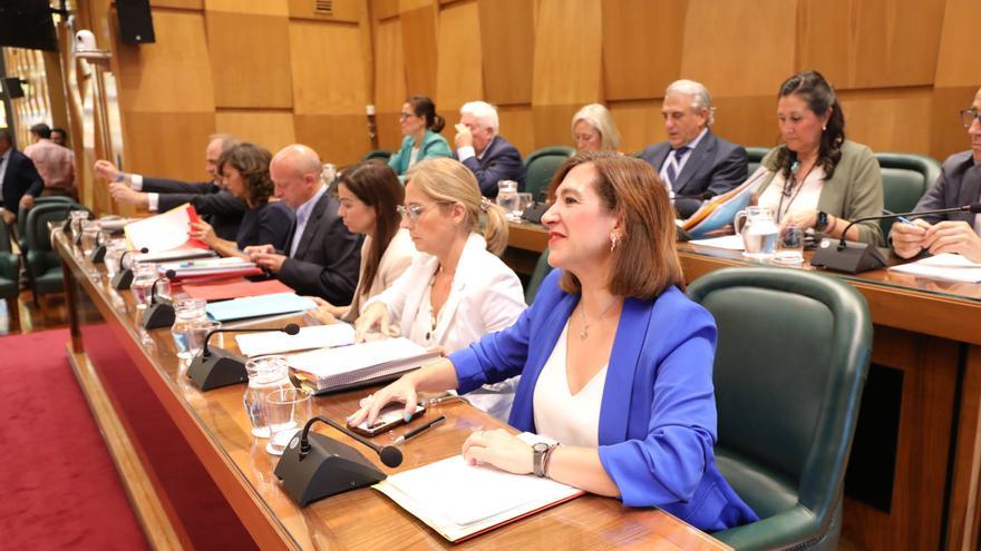 El pleno del Ayuntamiento de Zaragoza aprueba un plan cultural diverso