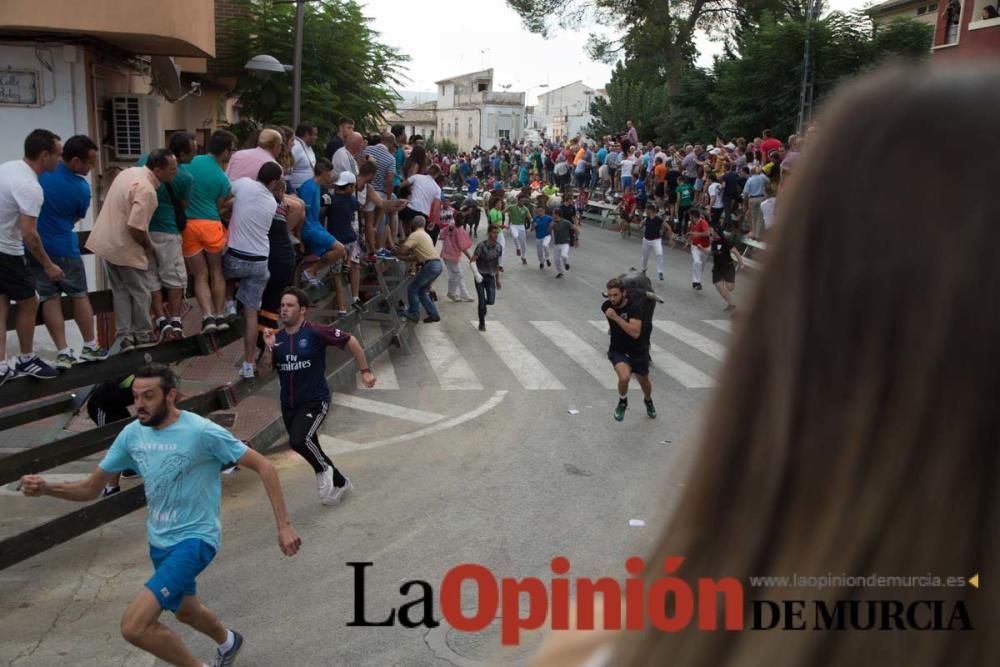 Quinto encierro en Calasparra