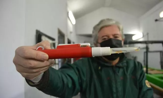 El río Esva se repuebla por primera vez con huevas para garantizar más salmones
