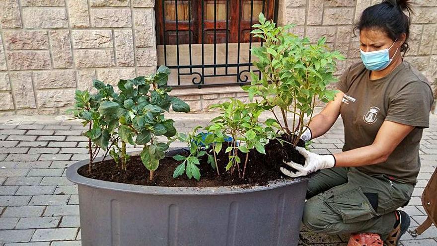 El alumnado de Et Formem adecenta las jardineras