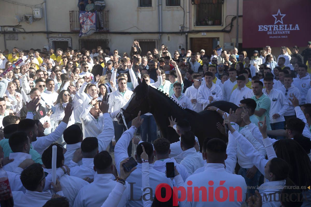 Concurso de caballo a pelo: presentación de caballos en el Hoyo