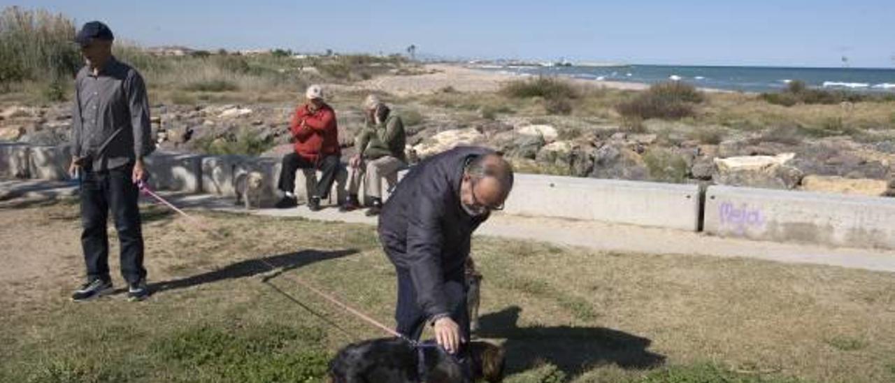 Luz verde a la playa para perros en el Port