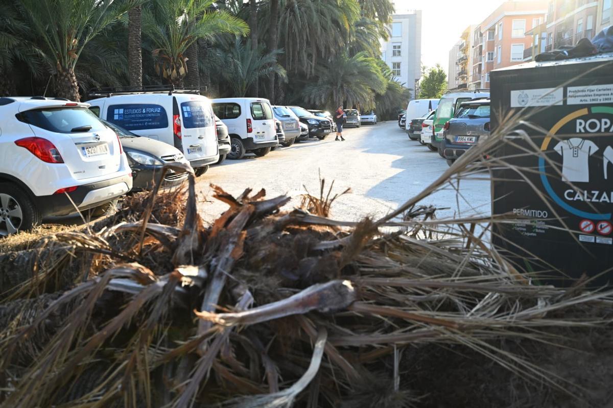 Restos de poda acumulados junto al parking este martes