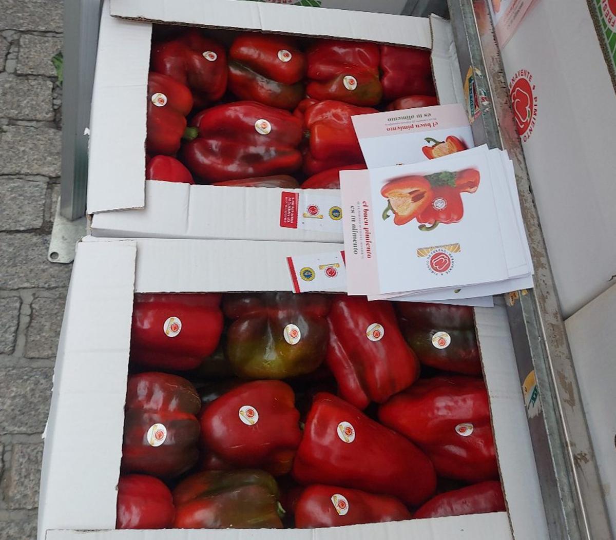Pimiento Fresno-Benavente, un manjar con arraigo