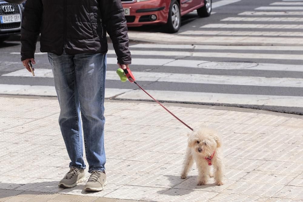 Reportaje: Gente con mascotas